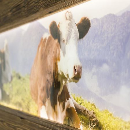 Pension Wendelstein Miesbach Exteriér fotografie
